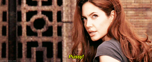 Mr. & Mrs. Smith (2005)  Quote (About pussy gifs funny)