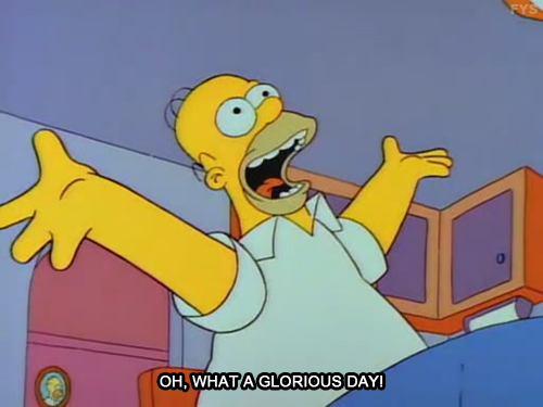 The Simpsons  Quote (About glorious day glorious)