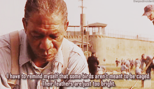 The Shawshank Redemption (1994)  Quote (About gifs free caged birds)