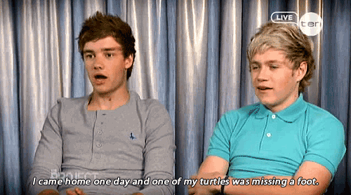 Liam Payne  Quote (About turtles gifs foot)