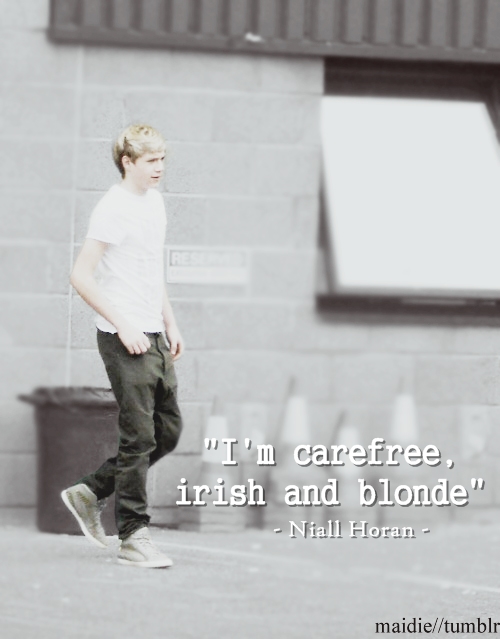 Niall Horan Quote (About irish hair carefree blonde)