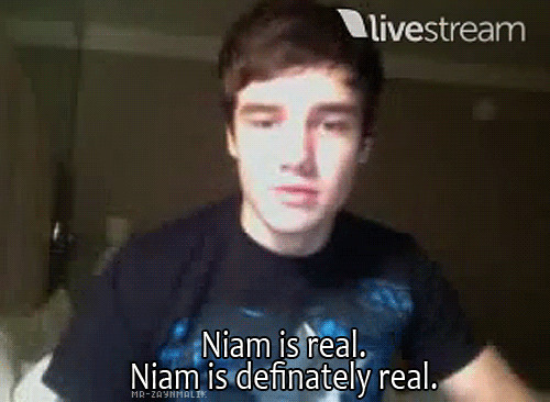 Liam Payne  Quote (About youtube real niam livestream)