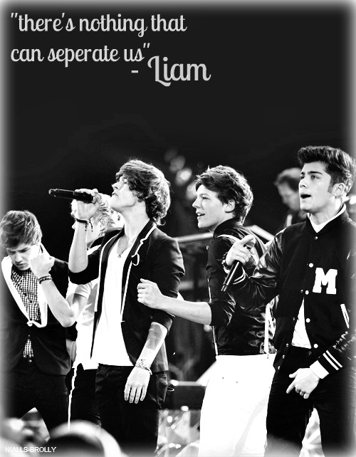 Liam Payne  Quote (About separate nothing)