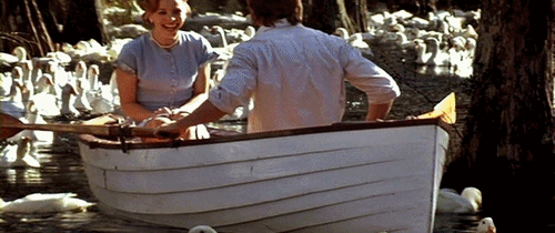The Notebook (2004)  Quote (About swan pond romantic pond paddling love lake gifs dating boat)