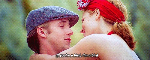 The Notebook (2004)  Quote (About love gifs freedom fly bird)