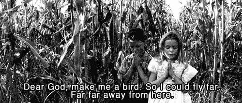 Forrest Gump (1994)  Quote (About hope god gifs freedom free fly bird)