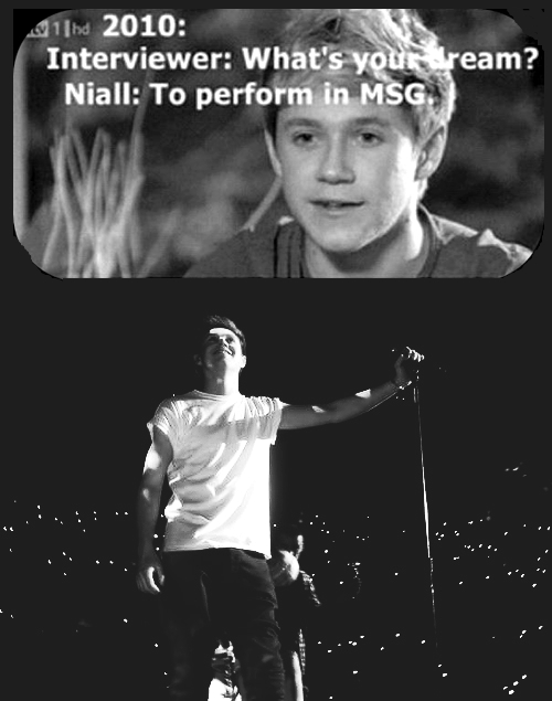 Niall Horan  Quote (About one direction MSG Madison Square Garden dream)