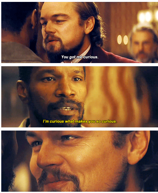 Django Unchained (2012) Quote (About strange curious)
