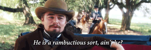Django Unchained (2012) Quote (About rambunctious gifs)