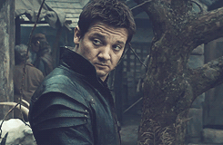 Hansel & Gretel: Witch Hunters (2013) Quote (About judging gifs)