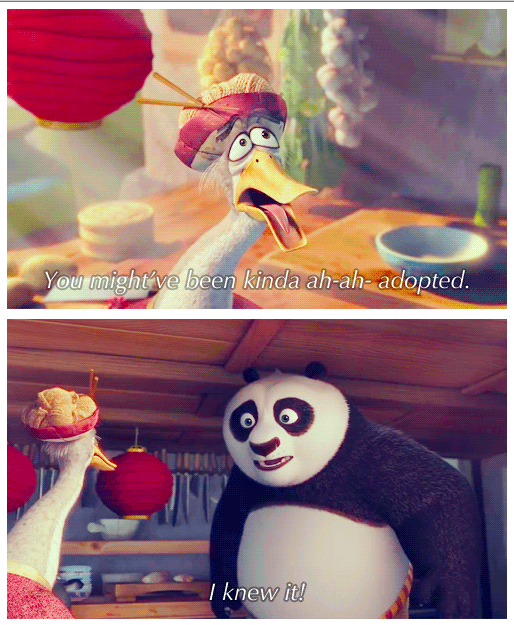 Kung Fu Panda 2 (2011) Quote (About father and son adopted)