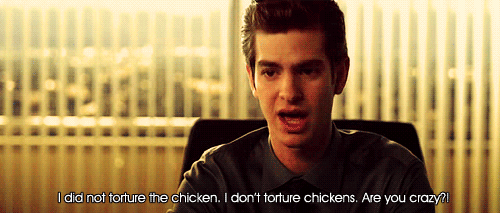 The Social Network (2010) Quote (About tortue gifs chicken)