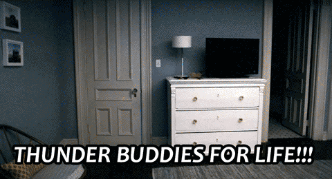 Ted (2012) Quote (About thunder bundies life gifs)