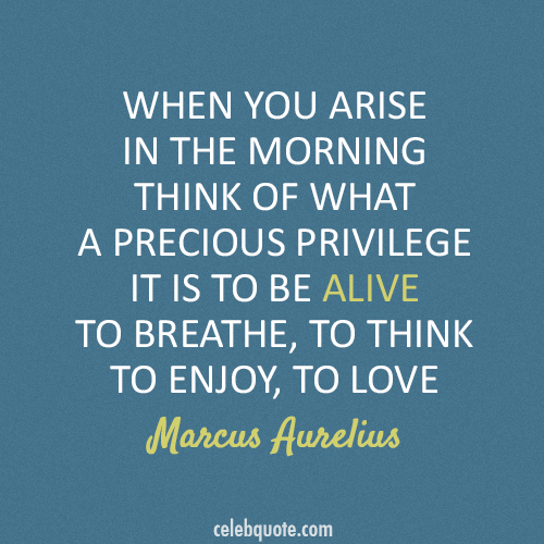 Marcus Aurelius Quote (About morning love breathe alive)