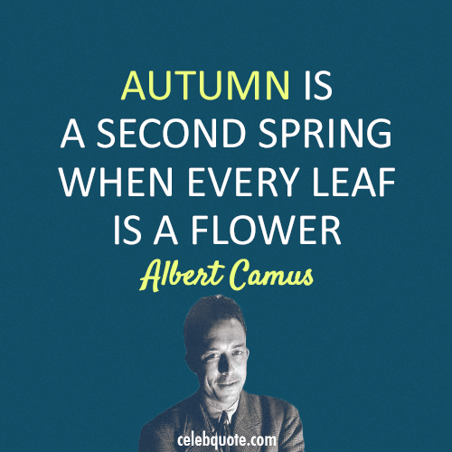 Albert Camus Quote (About spring flower autumn)