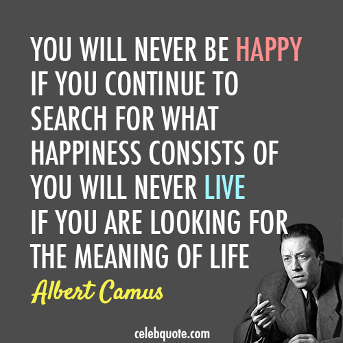 Albert Camus Quote (About meaning of life life happy happiness)