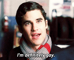 Glee Quote (About gifs gay definitely)