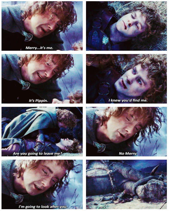 The Lord of the Rings: The Return of the King (2003) Quote (About friendship death scene bromance)