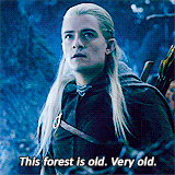 The Lord of the Rings: The Two Towers (2002) Quote (About old gifs forest)