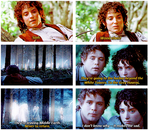 The Lord of the Rings: The Fellowship of the Ring (2001) Quote (About sad forest elf)