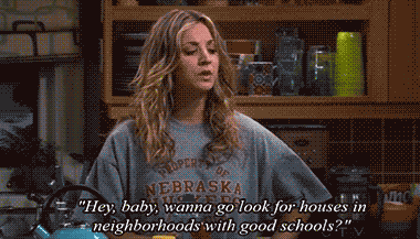 The Big Bang Theory Quote (About schools gifs)