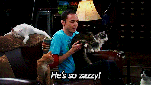 The Big Bang Theory Quote (About zazzy gifs)