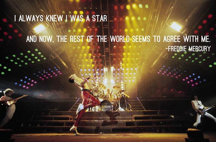 Freddie Mercury Quote (About world star fame)