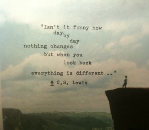 C. S. Lewis Quote (About same same but different funny different)