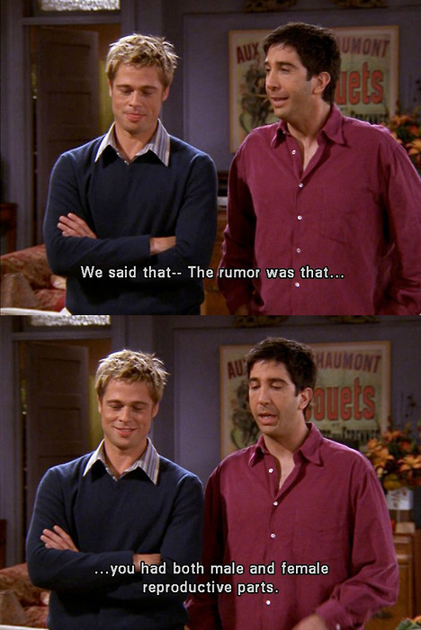 Friends  Quote (About rumor reproductive joke guest star funny brad pitt)