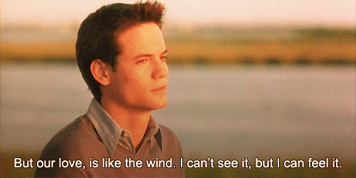 A Walk to Remember (2002) Quote (About wind see love gifs feel)