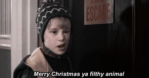 Home Alone 2: Lost in New York (1992)  Quote (About merry xmas holiday gifs funny filthy christmas animal)