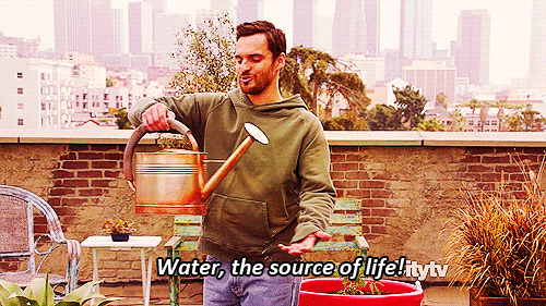 New Girl Quote (About water source of life plants gifs)