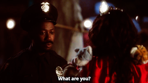 New Girl Quote (About what are you halloween gifs costume 