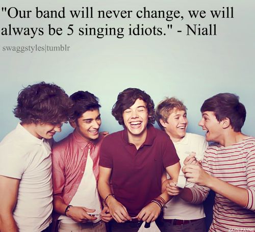 Niall Horan Quote (About singing idiots friendship bromance band)