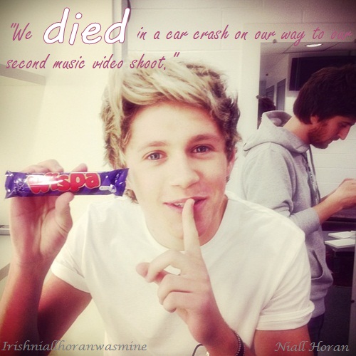 Niall Horan Quote (About music shoot die death car crash)