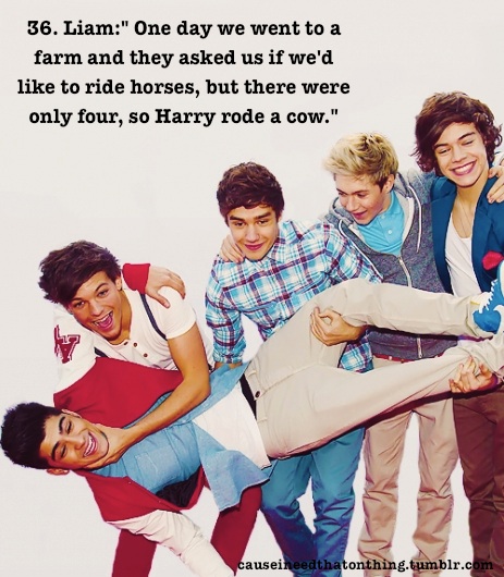 Liam Payne  Quote (About horses funny farm cow)