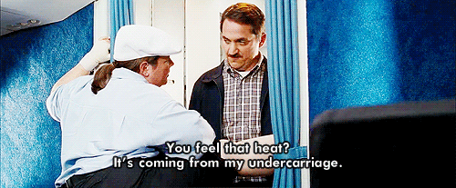 Bridesmaids (2011) Quote (About undercarriage restroom plane scene heat gifs)