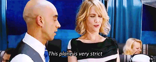 Bridesmaids (2011) Quote (About strict rules plane gifs)
