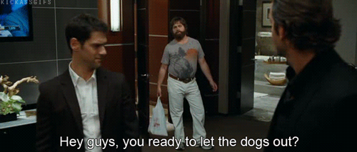 The Hangover (2009)
 Quote (About let the dogs out gifs)