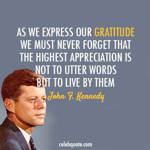 John F. Kennedy Quote (About life just do it gratitude appreciation)