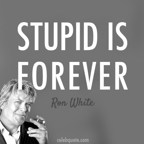 Ron White Quote (About stupid forever fix)