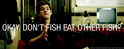 The Social Network (2010) Quote (About gifs fish eat)