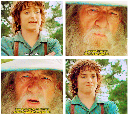 The Lord of the Rings: The Fellowship of the Ring (2001) Quote (About precise on time late)