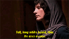 Zero Dark Thirty (2012) Quote (About lord of the ring Gandalf)