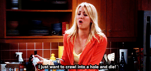 The Big Bang Theory Quote (About hole gifs die cream)
