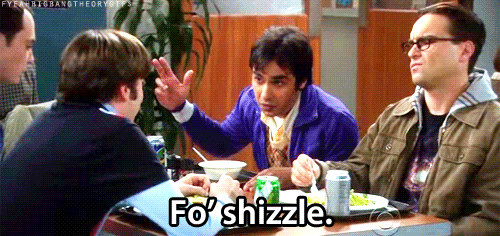 The Big Bang Theory Quote (About shizzle gifs)