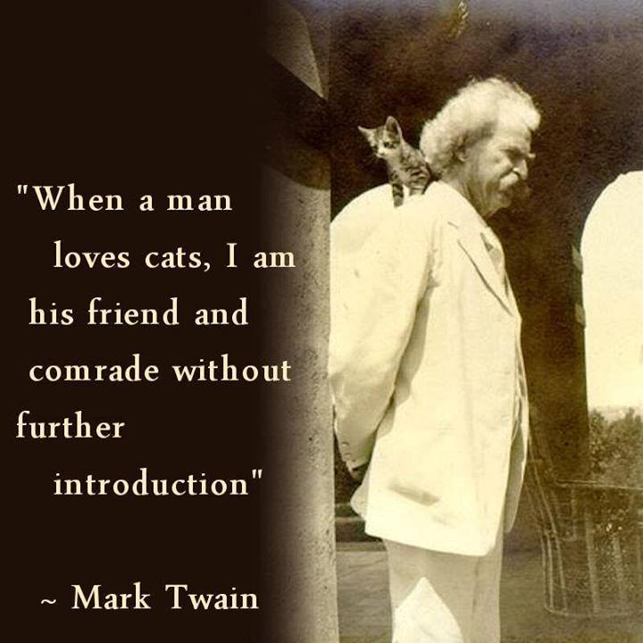 Mark Twain Quote (About friend comrade cats)