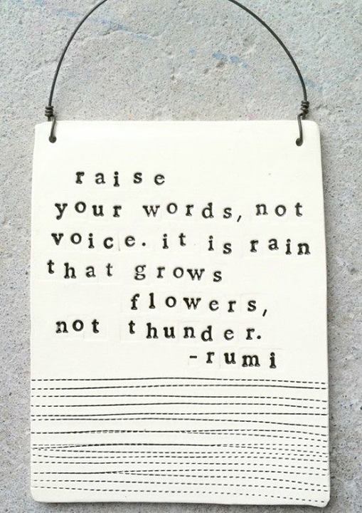 Rumi Quote (About words voice thunder flowers)